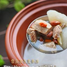 雪梨南杏里脊汤的做法 雪梨南杏里脊汤的做法