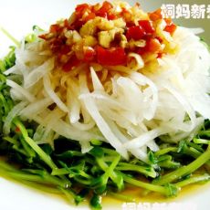 萝卜丝拌豆苗的做法 萝卜丝拌豆苗的做法