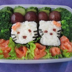 HOLLKITY盒饭的做法 HOLLKITY盒饭的做法