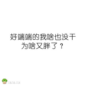 趣图